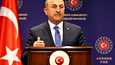 Turkin ulkoministeri Mevlüt Çavuşoğlun mukaan Turkki ei aio taipua vaatimuksissaan.