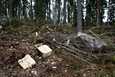 Pirkanmaan metsänhoitoyhdistyksen metsäasiantuntijan mukaan harvennushakkuu Ylöjärven Haavintonkalliolla oli tarpeen metsänhoidollisista syistä.