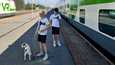 Kasperi (vas.) ja Kaarlo Koponen ja Elma-koira jaloittelivat Parkanossa, jossa juna seisoi neljä tuntia.