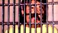 Rafael Caro Quintero oli merkittävä huumepomo 1980-luvulla. Quintero vangittuna päivämäärättömässä valokuvassa.