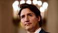 Kanadan pääministeri Justin Trudeau kertoi viestipalvelu Twitterissä, että Kanadan edustajainhuoneessa parlamentin jäsenet äänestivät yksimielisesti sen puolesta, että Suomi ja Ruotsi liittyvät Natoon. Trudeau kuvattiin 30. toukokuuta 2022.