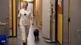 Sairaanhoitaja Piamari Kaario työskentelee Otiumin vanhainkodissa Norjassa. Helmi-koira saa seurata emäntäänsä työpaikalle. 
