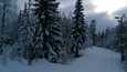 Anneli Lehtonen nappasi tämän talvisen kuva koukun ladulta 4. tammikuuta.