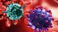 H1N1-inluenssavirus (vasemmalla) ja SARS-CoV-2-koronavirus muistuttavat ulkoisesti toisiaan, mutta ne ovat silti hyvin erilaisia viruksia.