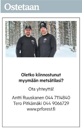 Antti Ruuskanen ja Tero Pitkämäki ilmoittivat ostoaikeistaan Aamulehdessä 11. helmikuuta.