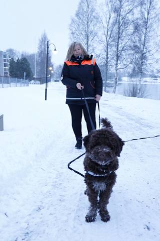 Rico on heti juonessa mukana. Anneli Rajala-Virtanen antaa koulutuksen lopuksi koirilleen aina palkinnon.