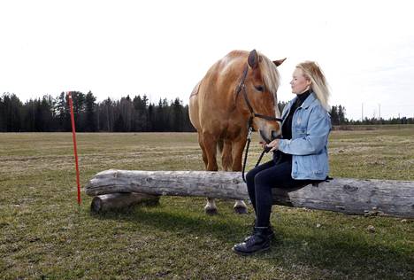 Marju Kauppinen on aina halunnut toteuttaa hevosten paratiisin. Nyt se on lähellä kodin ympäristössä Luvialla. Hevoset elävät pihatossa ja kesällä suurella laidunalueella. Suomenhevonen Nikkarin Viljami eli Vikke pääsi maistelemaan tuoretta ruohoa ja omenapaloja. 