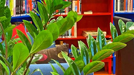 Viime vuonna kolme Sinervän koulun yläluokkien oppilasta sekä udmurtialainen maahanmuuttajaopiskelija tutustuivat työelämään Multian kirjastossa. 