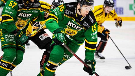 Ilves-hyökkääjä Santeri Virtanen kuvattiin Ilves–Kalpa-pelissä 23. lokakuuta.