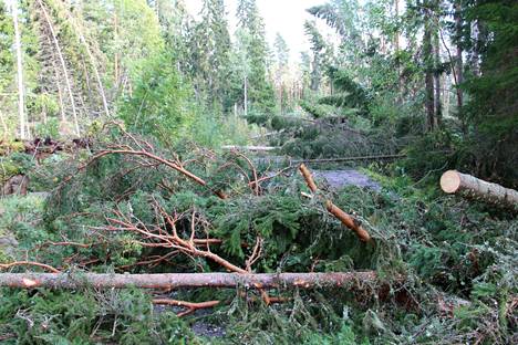 Viime elokuussa riehunut Verneri-myrsky aiheutti monenlaista tuhoa. Kankaanpään Holmantiellä kaatui satoja puita, keskusta-alueella vesi puolestaan teki vahinkojaan rakennuksille.