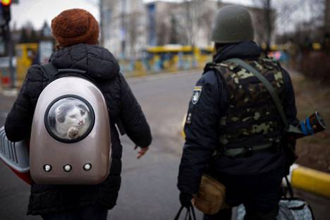 Nainen kantaa kissaa repussaan evakuoinnissa Brovaryn kaupungista ihan Kiovan ulkopuolelta 13. maaliskuuta.