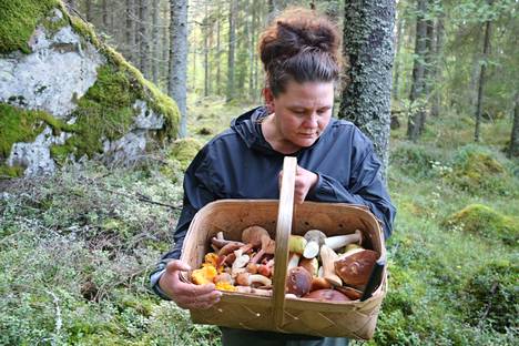 Nyt on paras aika lähteä metsästämään sieniä, kertoo sienineuvoja Karoliina Hakala.
