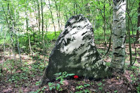 Arvoituksellinen kivipaasi sijaitsee Kokemäenjoen rantatörmän ja Proffantalon välimaastossa.