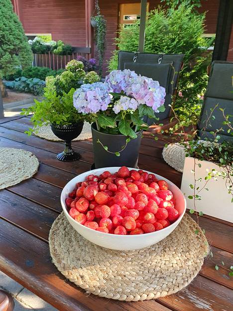 Marjut Salmisen kesähuoneessa kukkina on helppohoitoisia hortensioita ja lankaköynnöstä. Kesän viimeiset, makeat mansikat on juuri poimittu nautittaviksi.