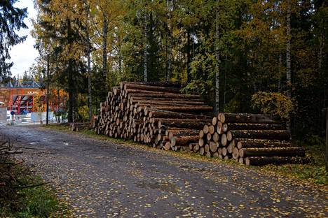 Jousiammuntaradan lähistöltä poistetut puut ovat pinossa kivenheiton päässä pesäpallostadionilta. 