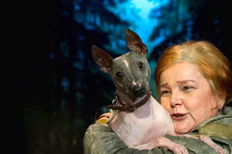 Penni-koira näyttelee Lily-koiraa kantaesityksessä Koiran morsiamet. Näyttelijä Sari Mällinen esiintyy ensimmäistä kertaa Tampereella. Hän esittää erittäin yksinäistä naista.