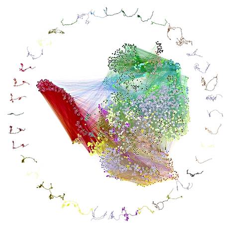 Kartassa neuronit ovat pistemäisiä, ja viivat kuvastavat yhteyksiä. Samanlaiset yhteydet on kuvattu lähekkäin. Ympäröivällä kehällä on esimerkkejä erilaisista neuroneista. 