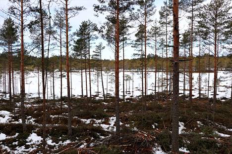 Kokemäelle rakennetaan uusi luontopolku - Uutiset - Sydän-Satakunta