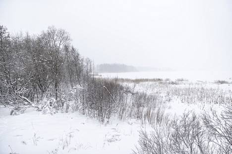 Lunta on nyt harvinaisen paljon ajankohtaan verrattuna, sanoo Ilmatieteen laitoksen asiantuntija. Kuva on otettu Tampereella Iidesjärven lintutornista.