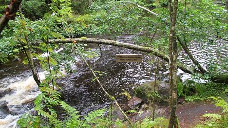 Juupajoki on halukas lähtemään mukaan seitsemän kunnan yhteiseen metsämatkailuhankkeeseen. Kuva Juupajoen rotkolta.