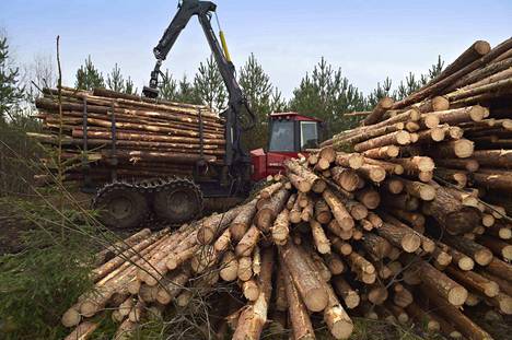 Joukko metsänomistajia hakee oikeudessa hyvitystä puukaupoista, joita ne tekivät aikoinaan puukartelliin eli laittomaan hintayhteistyöhön osallistuneiden metsäyhtiöiden kanssa.