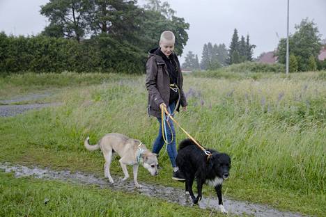Sildén on hankkinut jokaisen koiransa Kulkurit ry:ltä. Hän on mukana yhdistyksen toiminnassa koirien yhteyshenkilönä ja sometiimissä.