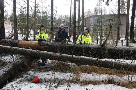 Linnoituksenpuiston hakkuiden aikana poistetaan myös jo kaatuneita kuusia, kertovat Heli Vuorilampi (vas.), Anne Tuominen ja Katri Laihosalo.