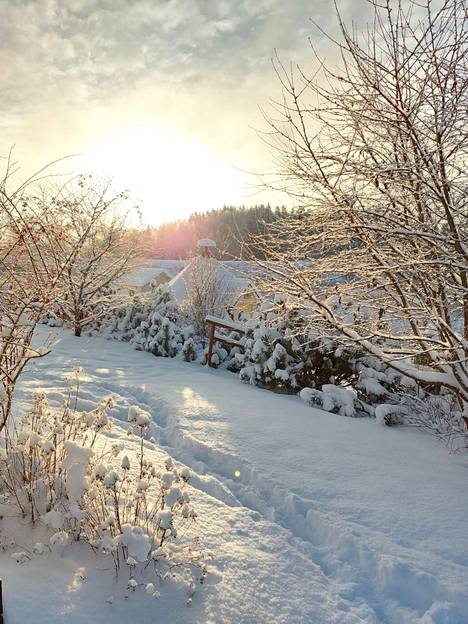 ”Aurinko pistäytyi kylässä ja valaisi maiseman”, Salla Leinonen kertoo 9. joulukuuta Kärjenniemessä otetusta kuvasta.