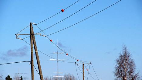 Kokemäen Sähkö asensi linnuille varoituspalloja viime keväänä Puurijärven pohjoispäässä. Linja ja pallot puretaan pois, kun uudet kaapelit on saatu kaivettua maan alle.