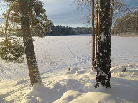 Eläinten jäljet ovat muuttuneet kohokuvioiksi lumen pinnan alennuttua Mäntänlahdella 17. joulukuuta.