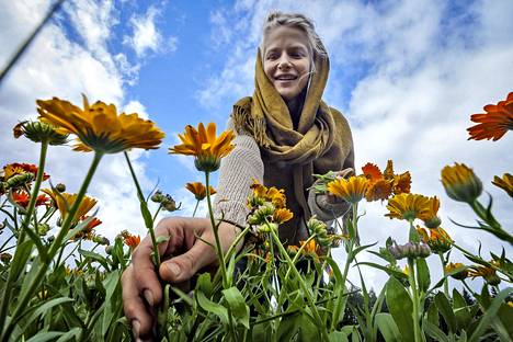 Julia Lahtisen mielestä alussa on tärkeintä tarkkailla, mitkä kasvit viihtyvät tilalla ja tutustua eliöstöön. Kehäkukka on kiitollinen kasvi, sillä se siementää niin paljon, että sitä voi pitää monivuotisena.