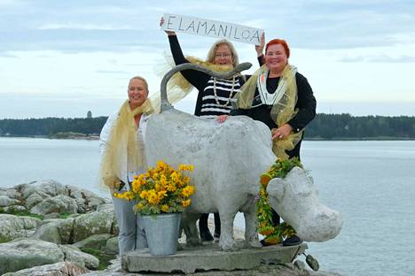 Anita Saksi, Kristiina Sunell ja Antte Kerkola paljastivat Kaurakarin lehmän entisöidyn version Naantalin syntymäpäivänä.