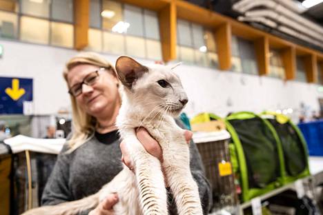 Tampereen Messu- ja urheilukeskuksessa maailman toiseksi suurin  kissanäyttely: Mukana 1 561 kissaa, tosin ei vielä lykoita - Lemmikki -  Aamulehti