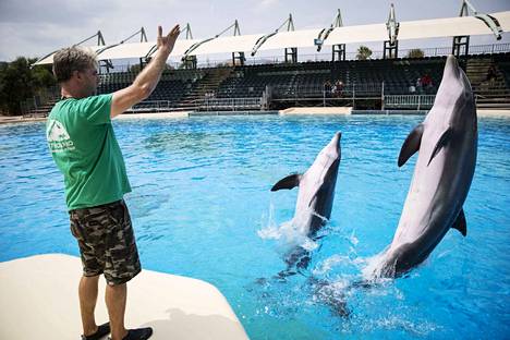 Särkänniemen delfiinit ottanut Attican eläinpuisto sai sakot - Uutiset -  Aamulehti