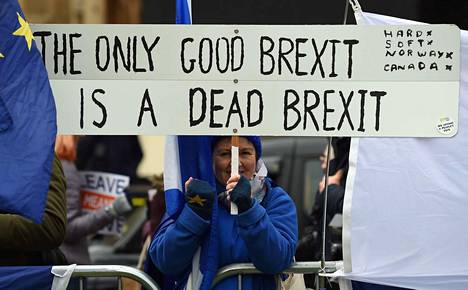 Mielenosoittajat vastustivat Britannian EU-eroa parlamenttitalon edustalla Lontoossa tiistaina.