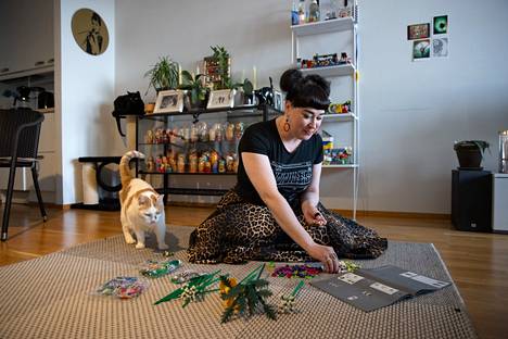 Muru (etualalla) ja Siru toimivat kotona koeyleisönä Janette Westergårdin legorakentamiselle.