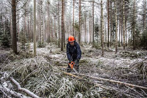 Täällä on Suomen väestöllinen keskipiste – Uusi juttusarja arpoo joka  viikko yllätyskohteen Suomesta - Kotimaa - Aamulehti