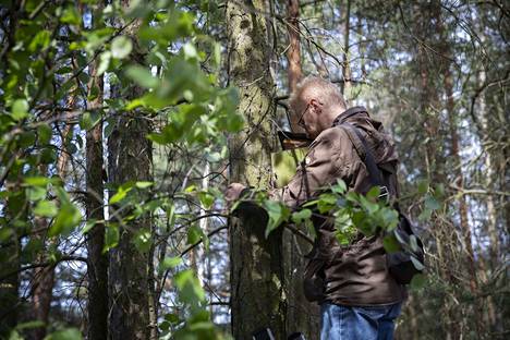 Biologi Tapio Eeva, 53, tutkii Harjavallan saasteiden vaikutusta lintuihin  - Satakunta - Satakunnan Kansa