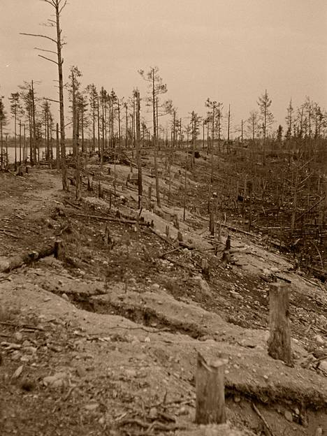 Tällaiselta näyttää Äyrääpään harju kesäkuun 1944 tykistötulen jälkeen. Palaneiden runkojen takana näkyy Vuoksi.