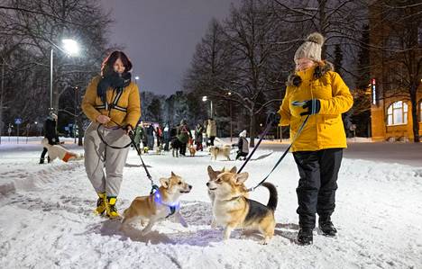 Taija Kyösti, hänen koiransa Nuusku, Maarit Hakala sekä koirat Arska ja Rane ilakoivat Hämeenpuistossa sunnuntaina ennen kuin kynttiläkulkue alkoi.