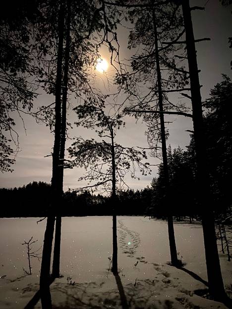 Kaija Helle opasti kuutamon kulkijoita Kivikeskulle Suomen luonnonsuojeluliiton Nokian yhdistyksen järjestämällä retkellä.