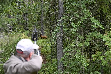 Metsästystilanteessa ampumaetäisyys    kohteeseen on jopa lyhyempi, mitä kuvanmukainen maastoharjoitustilanne antaa ymmärtää.