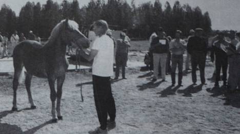Virvokkeen ja K.K. Kössin jälkeläinen tammavarsa R.R. Virva arvioitiin toisen palkinnon arvoiseksi. Sen omistaa Salmisen perikunta. Hevosen esitteli näyttelytilan isäntä Kimmo Päivike. 