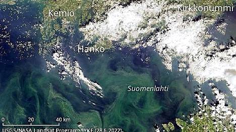 Sinileviä on seurattu satelliittikuvista 30 vuotta. Sinilevää havaittiin Suomenlahdella tiistaina.