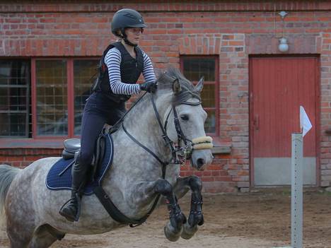 Hevoset ja ratsastus voivat tarjota elämänikäisen harrastuksen - Urheilu -  KMV-lehti