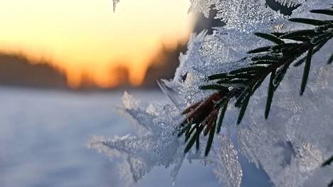 Pakkasasteiden vaihdellessa vaihtelee myös jääkiteiden pituus ja leveys, mikä näkyy hyvin Anu Kokkilan jouluaamuna ottamassa kuvassa Haapamäeltä.
