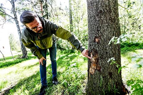 Tampereen kaupunki on saanut paljon kyselyitä kirjanpainajatoukkien tuhoamista puista. Kaupunkilaiset ihmettelevät, miksei niitä kaadeta. Jani Aho kertoo, ettei puiden kaatamisesta ole hyötyä taistelussa kirjanpainajatoukkia vastaan. 