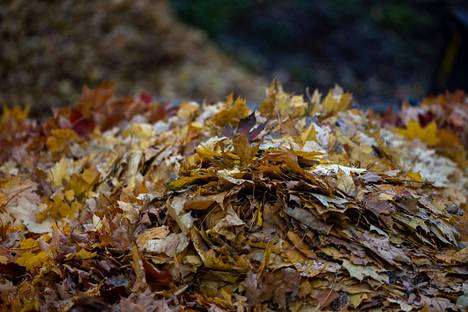 Puutarhoihin kertyy syksyn tullen monenlaista jätettä, kuten lehtiä ja risuja. Ne voi viedä maksutta Koukkujärven jätekeskukseen.