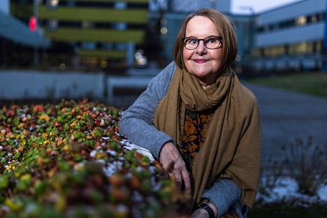 Taysin ainoalla kokoaikaisella potilasasiavastaavalla Arja Laukalla on tehtävästä 22 vuoden kokemus. Hänet kuvattiin 17. marraskuuta Taysin pääsisäänkäynnin lähellä Tampereen Kaupissa.
