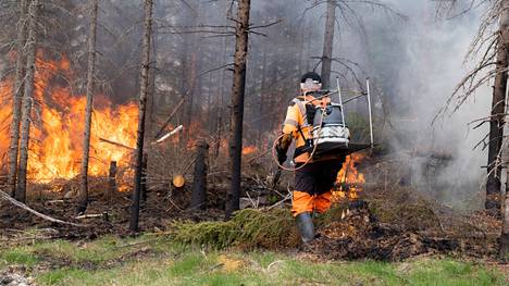 Tulen sytyttämisessä hyödynnettiin Jusseronsaloon Haapamäelle etukäteen vietyä hakkuutähdettä. Metsäalue poltettiin keskiviikkona 31.5.
